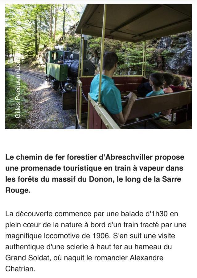 Maison Spacieuse Et Accueillante A Cirey-Sur-Vezouze + Jardin Eksteriør billede